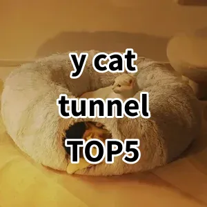 Top 5 Best-selling y cat tunnel