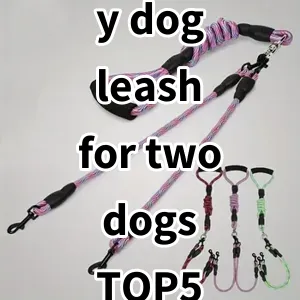 Top 5 Best-selling y dog leash for two dogs