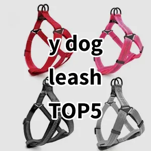 Top 5 Best-selling y dog leash