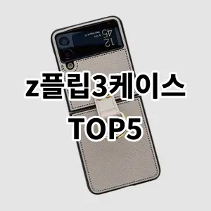 2024 z플립3케이스 추천 Top5