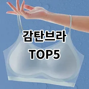 2024 감탄브라 추천 Top5