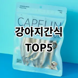 2024 강아지간식 추천 Top5