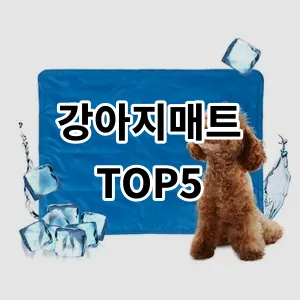 2024 강아지매트 추천 Top5