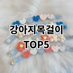 2024 강아지목걸이 추천 Top5