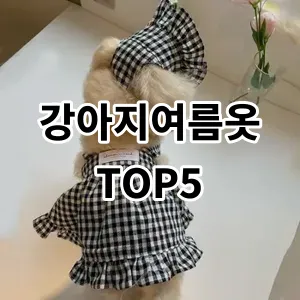 2024 강아지여름옷 추천 Top5