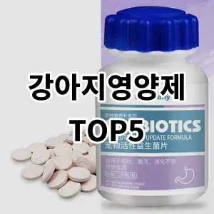 2024 강아지영양제 추천 Top5