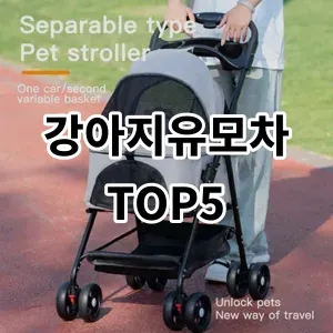 2024 강아지유모차 추천 Top5