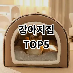 2024 강아지집 추천 Top5