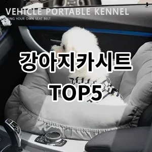 2024 강아지카시트 추천 Top5