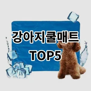 2024 강아지쿨매트 추천 Top5