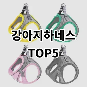 2024 강아지하네스 추천 Top5