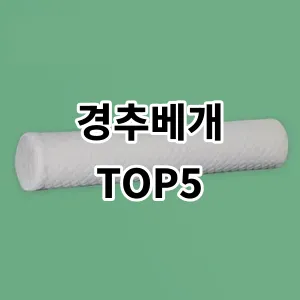 2024 경추베개 추천 Top5