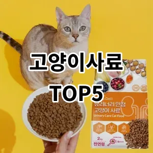 2024 고양이사료 추천 Top5