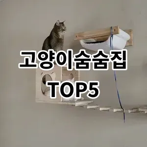 2024 고양이숨숨집 추천 Top5