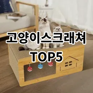 2024 고양이스크래쳐 추천 Top5