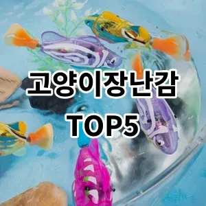 2024 고양이장난감 추천 Top5