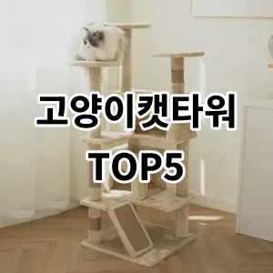 2024 고양이캣타워 추천 Top5