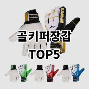 2024 골키퍼장갑 추천 Top5