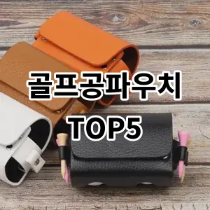 2024 골프공파우치 추천 Top5