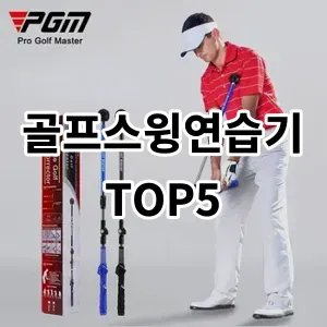 2024 골프스윙연습기 추천 Top5