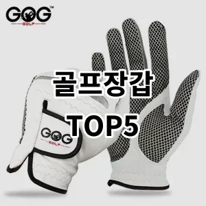 2024 골프장갑 추천 Top5