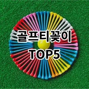 2024 골프티꽂이 추천 Top5