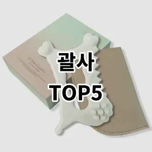 2024 괄사 추천 Top5