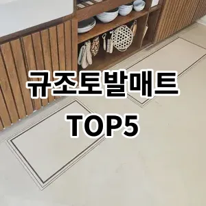 2024 규조토발매트 추천 Top5