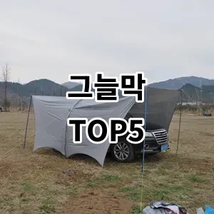 2024 그늘막 추천 Top5