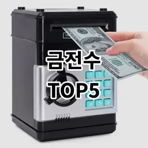 2024 금전수 추천 Top5