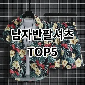 2024 남자반팔셔츠 추천 Top5