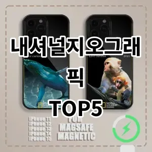 2024 내셔널지오그래픽 추천 Top5