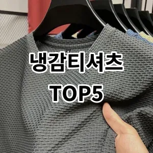 2024 냉감티셔츠 추천 Top5