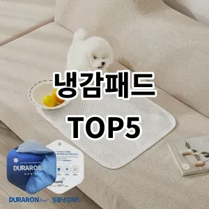 2024 냉감패드 추천 Top5