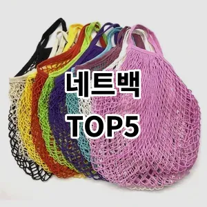 2024 네트백 추천 Top5