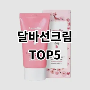 2024 달바선크림 추천 Top5