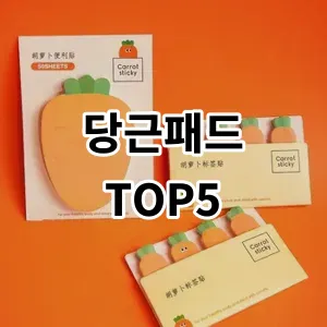 2024 당근패드 추천 Top5