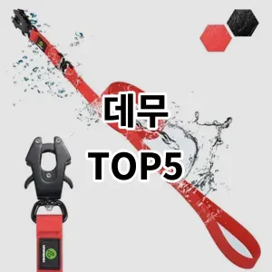 2024 데무 추천 Top5