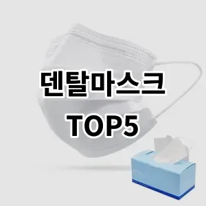 2024 덴탈마스크 추천 Top5