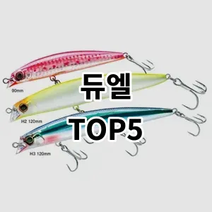 2024 듀엘 추천 Top5