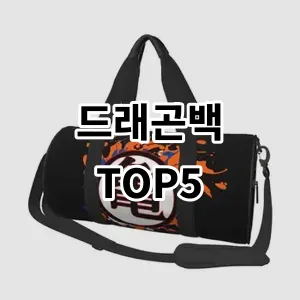 2024 드래곤백 추천 Top5