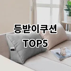 2024 등받이쿠션 추천 Top5