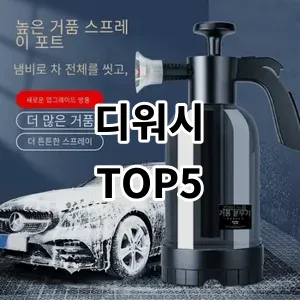 2024 디워시 추천 Top5