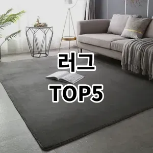 2024 러그 추천 Top5