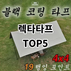 2024 렉타타프 추천 Top5