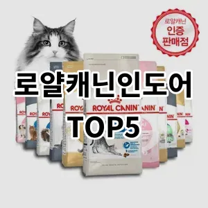 2024 로얄캐닌인도어 추천 Top5