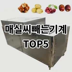 2024 매실씨빼는기계 추천 Top5