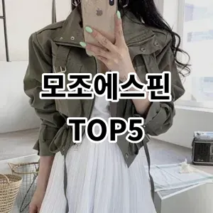 2024 모조에스핀 추천 Top5