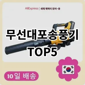 2024 무선대포송풍기 추천 Top5