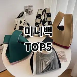 2024 미니백 추천 Top5